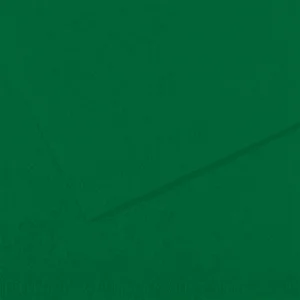 FABRIANO Feuille dessin couleur 50 x 65 cm Tiziano 160g Vert foncé