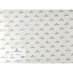 CANSON Feuille de papier buvard 250g 50x65cm Blanc Ref-91123