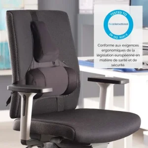FELLOWES Support dorsal Premium Professional Series 8041801