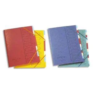 EMEY Trieur en carte forte 4.3/10e 7 compartiments coloris assortis