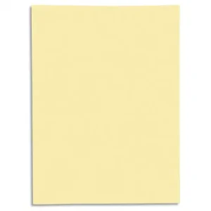 EXACOMPTA Paquet de 50 chemises 1 rabat SUPER 250 en carte 210 grammes Jaune