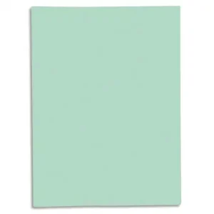 EXACOMPTA Paquet de 50 chemises 1 rabat SUPER 250 en carte 210 grammes Vert