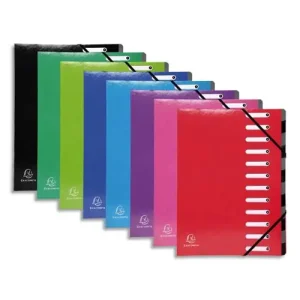 EXACOMPTA Trieur avec élastique IDERAMA en carte 7/10e. 12 compartiments. Coloris assortis.