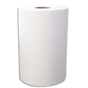 Lot de 2 Bobines d'essuyage 2 plis 150 formats 25 x 19,5 cm - L37,5 m,bobine D11,5 cm Blanc Eco