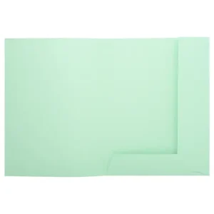 EXACOMPTA Paquet 50 chemises 2 rabats carte 210g SUPER 250. Coloris Vert clair