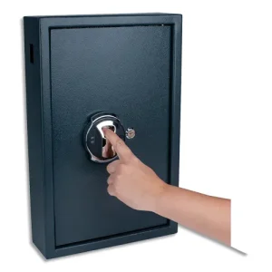 PAVO Armoire à clés Haute sécurité emprunte digitale, capacité 50 clés.