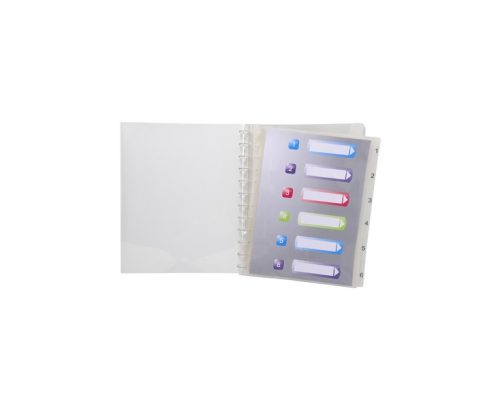 EXACOMPTA Protège document CRISTAL 30 pochettes/60 vues en polypropylène 7/10e. Coloris assortis