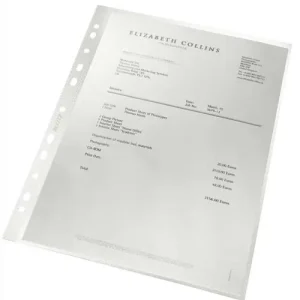 LEITZ Boîte de 100 pochettes perforées Leitz Recycle,plastique 90% recyclé/100% recyclable,A4,transparent