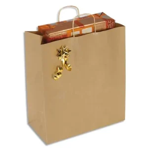Paquet de 100 Sacs kraft brun 110g à poignée torsadées, Ouverture 40 x Hauteur 45,75 x Soufflet 19 cm