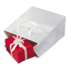 Paquet de 25 sacs pelliculés Blanc avec poignées cordelières assorties 19 x 27 x 10 cm