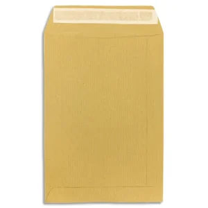 PERGAMY Boîte de 500 pochettes kraft Brun 90g C5 162x229 mm auto-adhésives