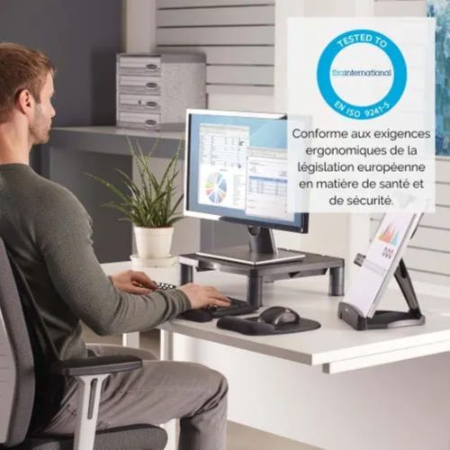 FELLOWES Support standard ecran lcd/tft standard Gris graphite 9169301