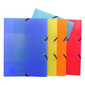 EXACOMPTA Chemise 3 rabats élastique PP 8/10ème LINICOLOR A4 assortis