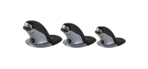 FELLOWES Souris ergonomique verticale sans fil grande taille 9894501