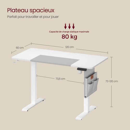 Bureau Assis-Debout Électrique 60 x 120 x (72-120) cm