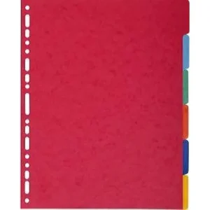 EXACOMPTA Jeu d'intercalaires 6 positions maxi format pour pochettes, en carte lustrée 5/10e