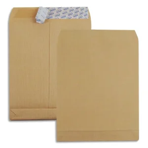 GPV Boîte de 250 pochettes kraft armé C4 Blanches avec 3 soufflets