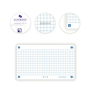 OXFORD Sachet de 32 fiches BRISTOL FLASH OXFORD 2.0 non perforées 75x125mm 250g 5x5 Blanc