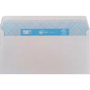 PERGAMY Boîte de 500 enveloppes Blanches sans fenêtre 80g DL 110x220 mm auto-adhésives