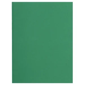 EXACOMPTA Paquet de 100 chemises FLASH 220 gr coloris Vert foncé, 100% recyclé