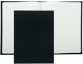 EXACOMPTA Registre Quadrillé 5x5, 360 x 225 mm vertical