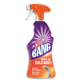 CILLIT BANG Pistolet de 750 ml DT Service