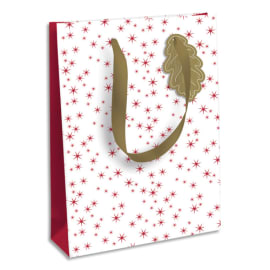 CLAIREFONTAINE Sac cadeau Fin d'année 26,5x14x33cm en carte 210g. Anses coton. Motif Etoile rouge/blanc