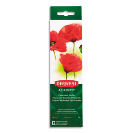 DERWENT ACADEMY Palette de 12 pastilles de gouache aquarelle assortie avec 1 pinceau