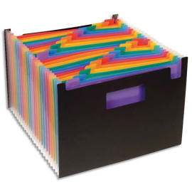 VIQUEL Trieur Seatcase Rainbow 24 compartiments, en polypro 7/10e, 2 poignées, Noir intérieur multicolore