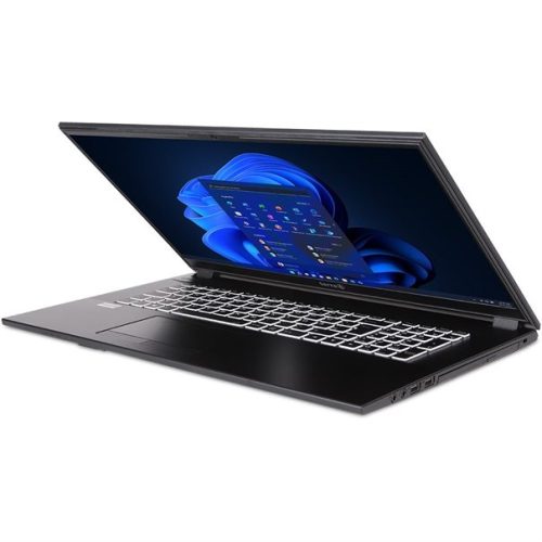 TERRA MOBILE 1716T i5-1135G7 W11P -FR