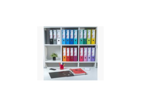 EXACOMPTA Classeur à levier PP Premium, A4, 80 mm, assortie