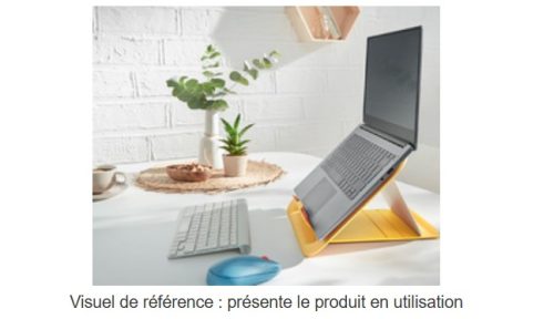 LEITZ Support pour ordinateur portable Ergo Cosy, bleu