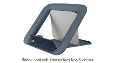 LEITZ Support pour ordinateur portable Ergo Cosy, gris