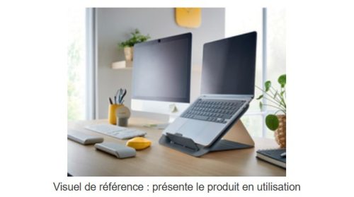 LEITZ Support pour ordinateur portable Ergo Cosy, gris