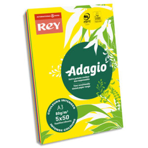 INAPA Ramette 50 feuilles x 5 teintes papier couleur intense ADAGIO assortis intenses A3 80g