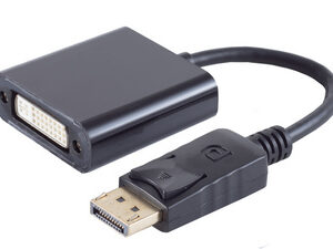 shiverpeaks BASIC-S Adaptateur, DisplayPort - DVI 24+5