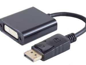 shiverpeaks BASIC-S Adaptateur, DisplayPort - DVI 24+5
