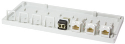 LogiLink Boîtier vide en saillie pour module keystone