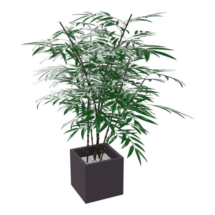 BAMBOU ORIENTAL - Pot Carré H44cm 40x40 cm ABS gris anthracite - gravier gris - H175 cm